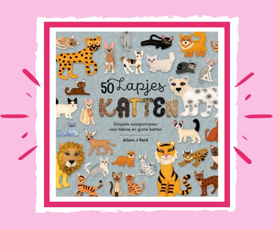 Kat van vilt maken boek