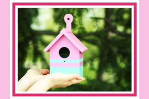 DIY vogelhuisje pimpen verven