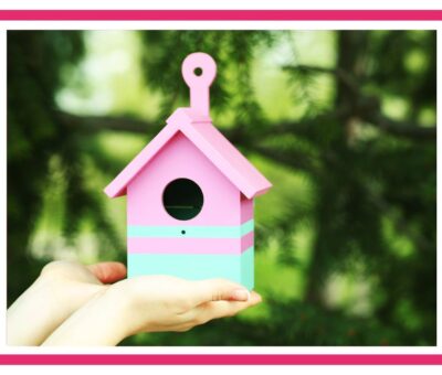 DIY vogelhuisje pimpen verven