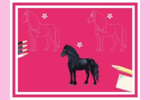 Leer paarden en pony's tekenen met Britt Dekker